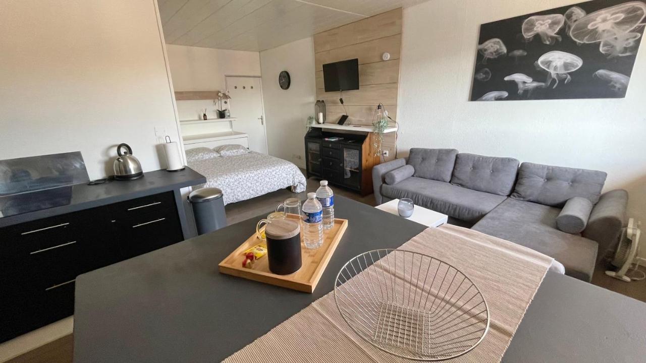 Studio Cocooning Hauteur De Saint-Raphael #2 Exteriör bild